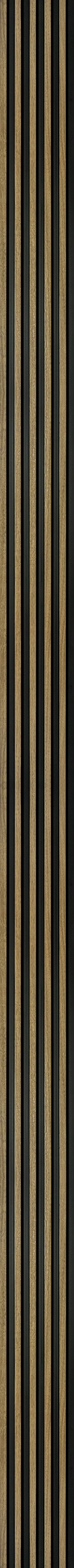 A1028-fs